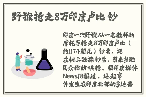 鸣人和小樱拨萝卜是哪一集