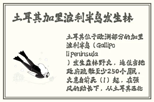 精品国产乱码久久久久久移动网络